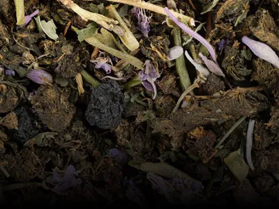 Изображение слайда