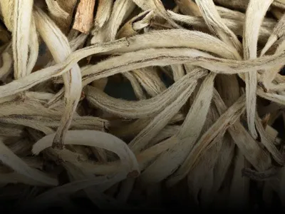 Изображение слайда